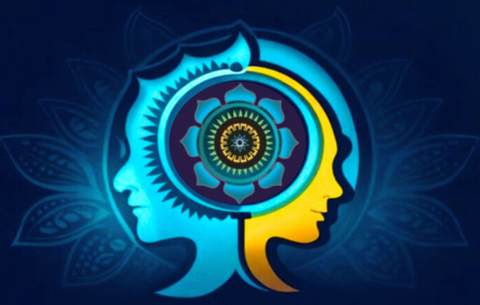Ceylon Wellspring with Dr Hasini